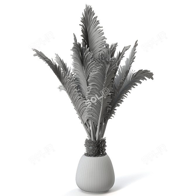 Elegant Sago Palm Plant 3D model image 2