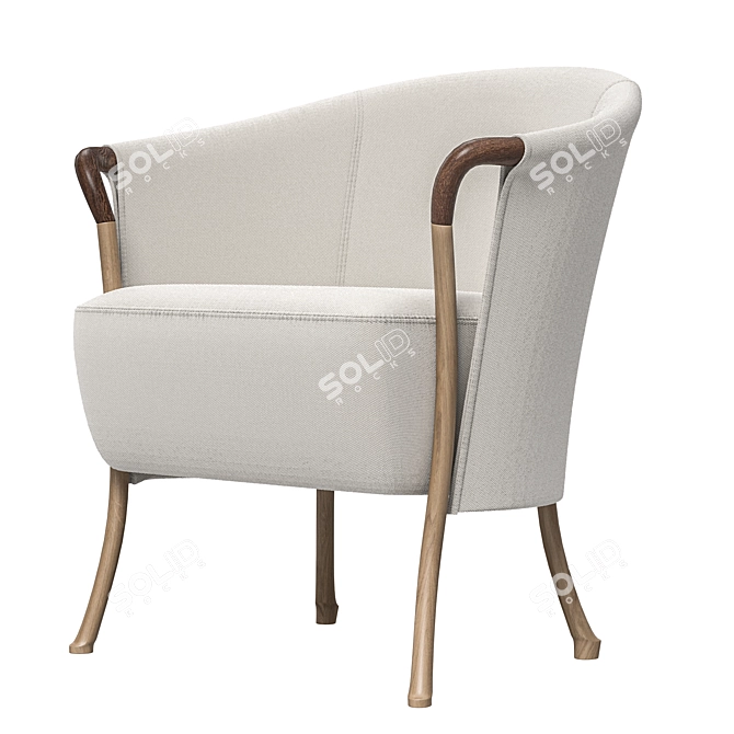 Giorgetti Progetti Armchair 63230 2014 3D model image 4