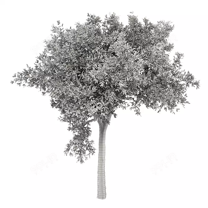 Dimensional Centimeters Tree No.19 3D model image 3