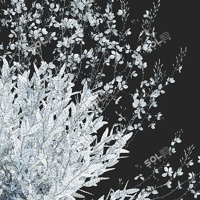 Gaura Lindheimeri Flower 3D Models 3D model image 5