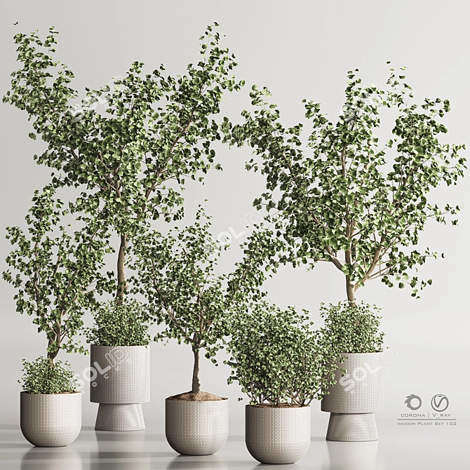 Modern Indoor Plant Set Design 3D model image 1