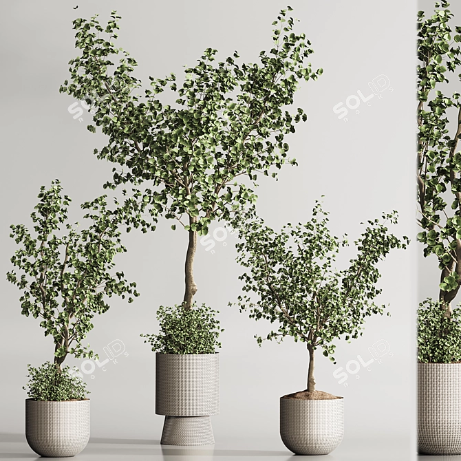 Modern Indoor Plant Set Design 3D model image 3