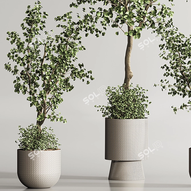 Modern Indoor Plant Set Design 3D model image 4