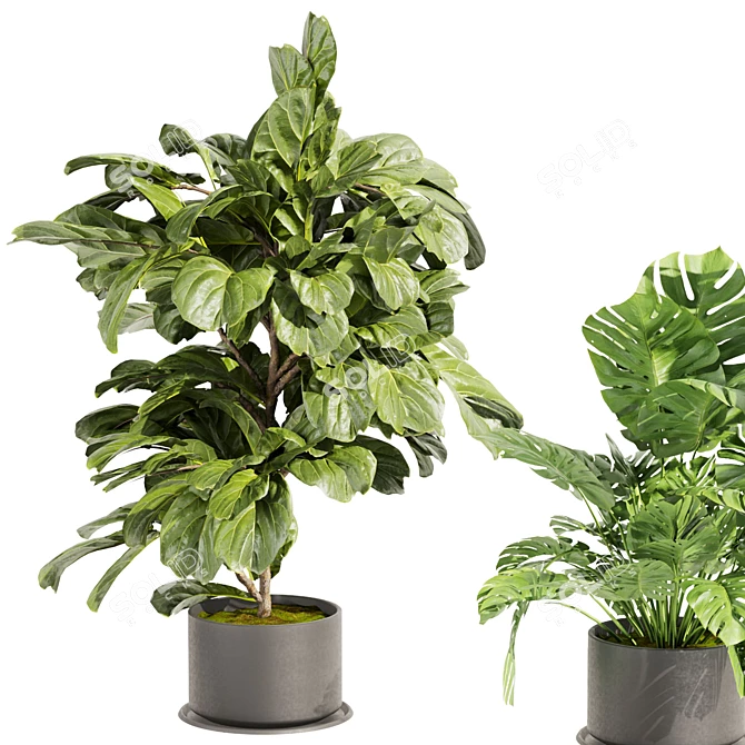 High-Quality Collection Plant Models 3D model image 2