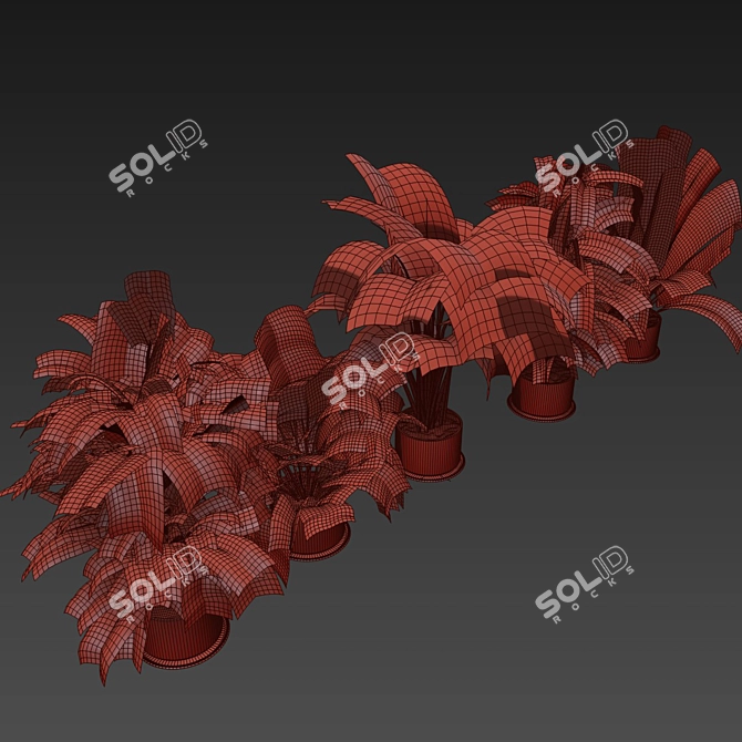 High-Quality Collection Plant Models 3D model image 7