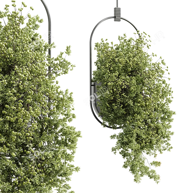Modern Hanging Indoor Plant 352 3D model image 1