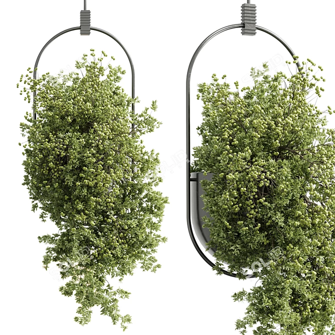 Modern Hanging Indoor Plant 352 3D model image 2