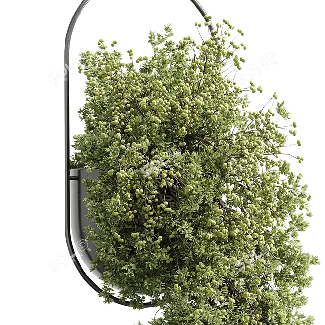 Modern Hanging Indoor Plant 352 3D model image 3