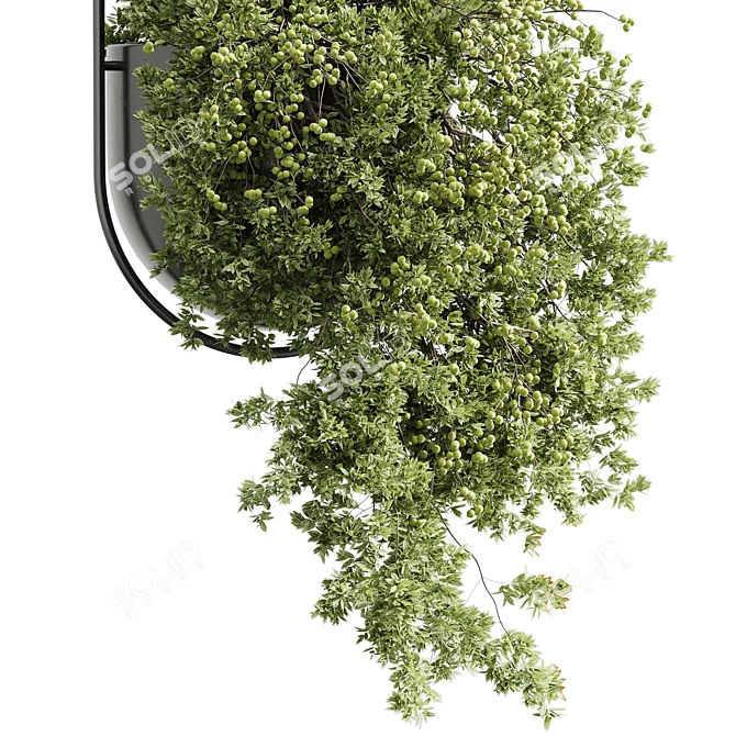 Modern Hanging Indoor Plant 352 3D model image 4