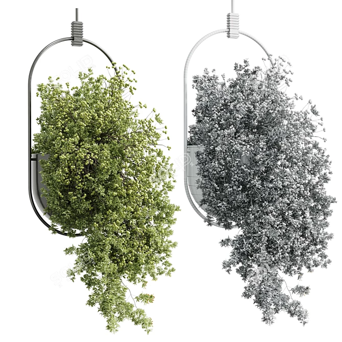 Modern Hanging Indoor Plant 352 3D model image 5