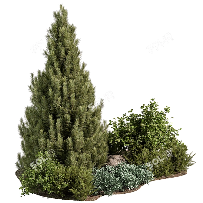 Outdoor Plants for Your Garden 3D model image 1