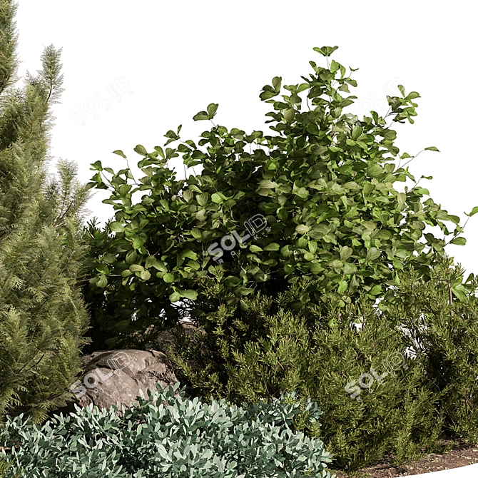 Outdoor Plants for Your Garden 3D model image 3