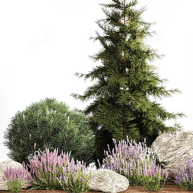 Alpine Rockery Plant Collection 3D model image 2