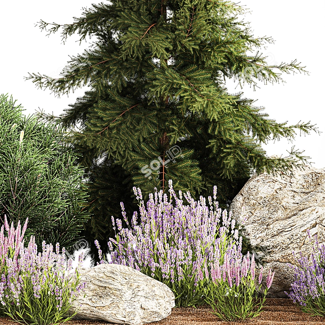 Alpine Rockery Plant Collection 3D model image 4