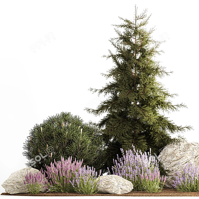 Alpine Rockery Plant Collection 3D model image 6