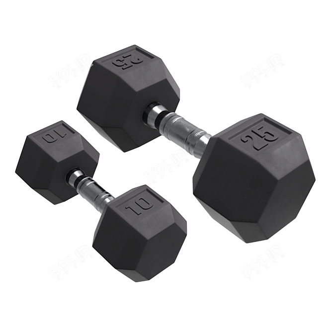 Hexagonal Rubberized Dumbbells Set 3D model image 1