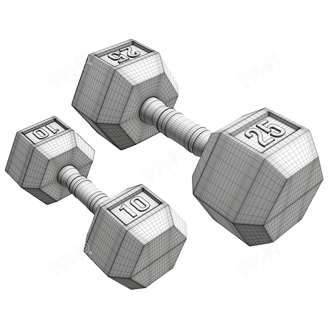 Hexagonal Rubberized Dumbbells Set 3D model image 2