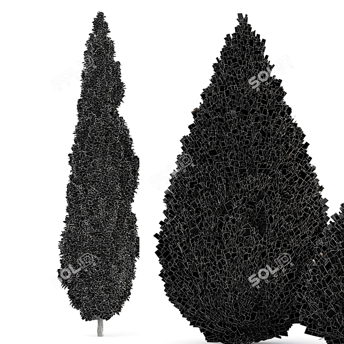 3D Mediterranean Cypress Tree Models 3D model image 3