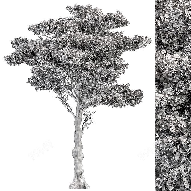 Pink Cedar Tree Set 150 3D model image 3