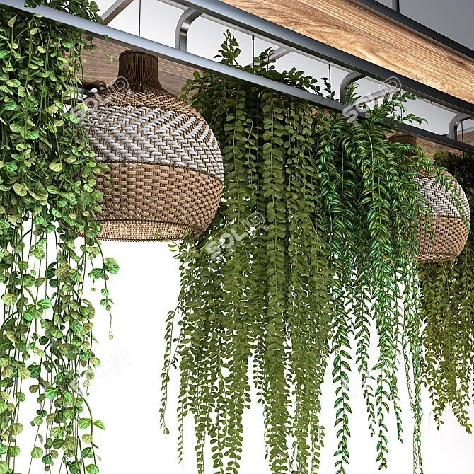 Hanging Plants Restaurant Counter Model 3D model image 3