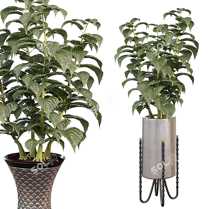 Modern Indoor Plant Decor Piece 3D model image 2