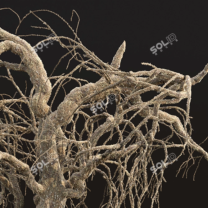 Grieving Willow Tree 3D Model 3D model image 2