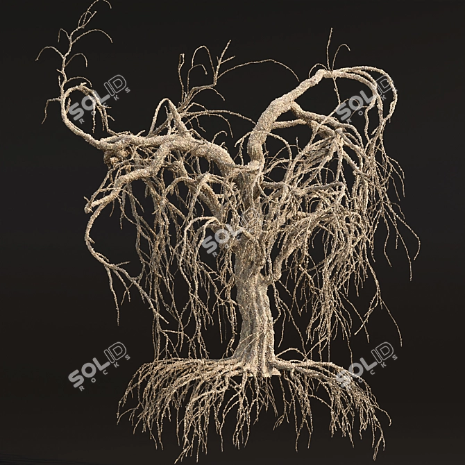 Grieving Willow Tree 3D Model 3D model image 3