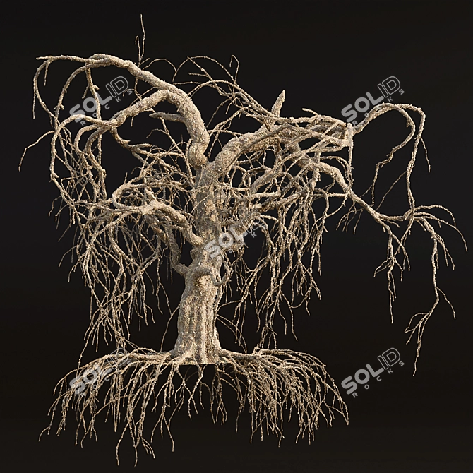 Grieving Willow Tree 3D Model 3D model image 4
