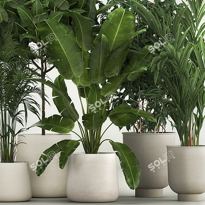 Tropic Exotic Plant Set 3D model image 1