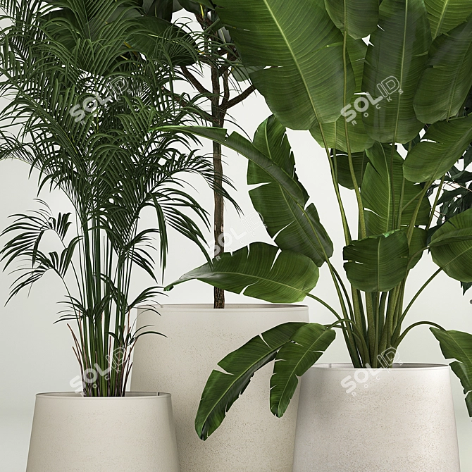 Tropic Exotic Plant Set 3D model image 2