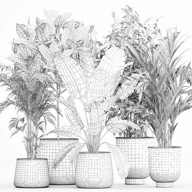 Tropic Exotic Plant Set 3D model image 3