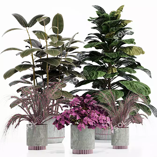 Exotic Indoor Plant Set 3D model image 1