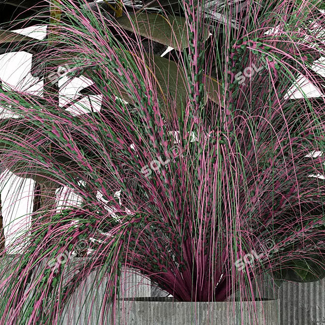 Exotic Indoor Plant Set 3D model image 4