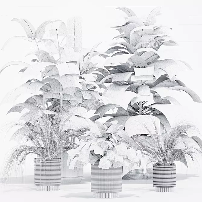 Exotic Indoor Plant Set 3D model image 5