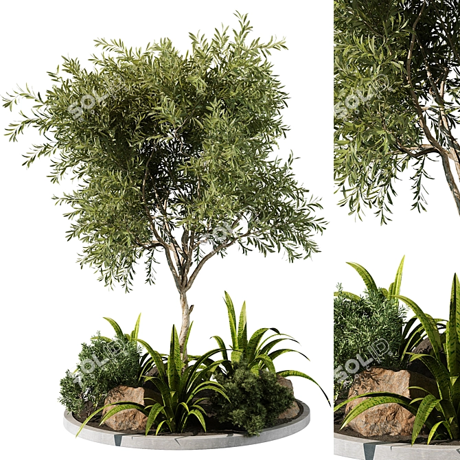 Outdoor Plant 219 3D Model 3D model image 1