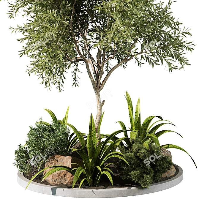 Outdoor Plant 219 3D Model 3D model image 2