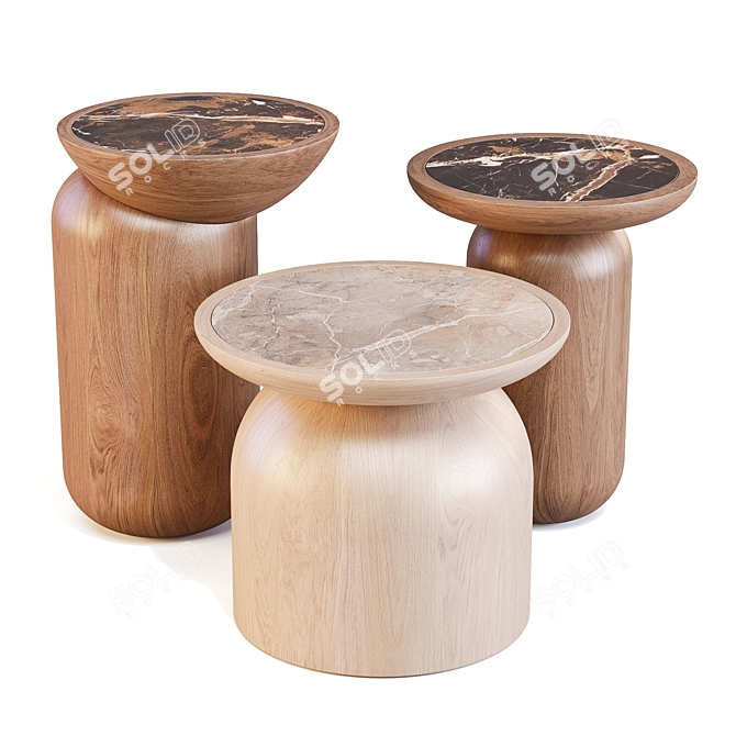 Handcrafted Geometric Mezcalito Side Tables 3D model image 1