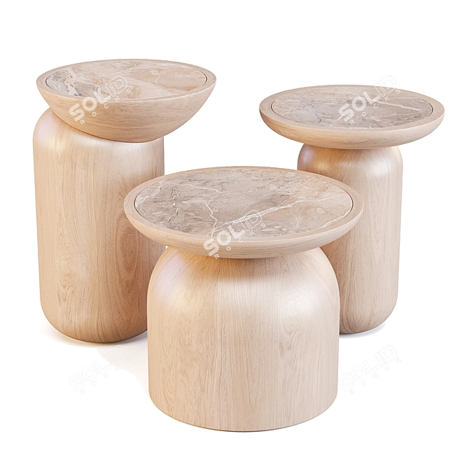 Handcrafted Geometric Mezcalito Side Tables 3D model image 2