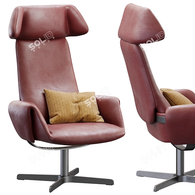 DeSede DS_343 Premium Lounge Chair 3D model image 1