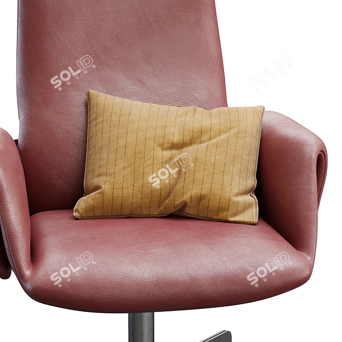 DeSede DS_343 Premium Lounge Chair 3D model image 2