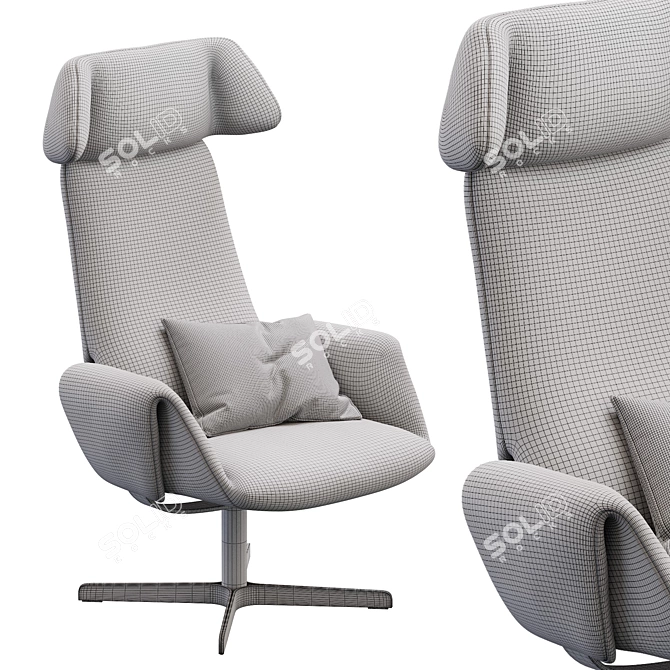 DeSede DS_343 Premium Lounge Chair 3D model image 3