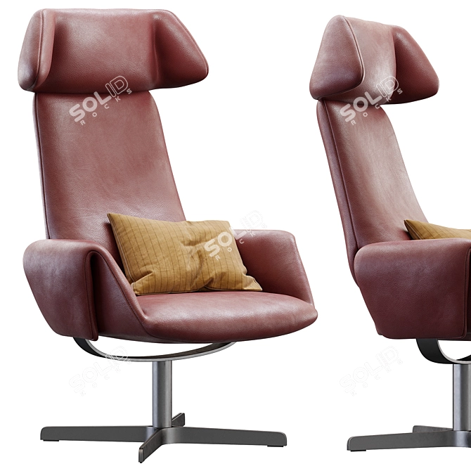 DeSede DS_343 Premium Lounge Chair 3D model image 6