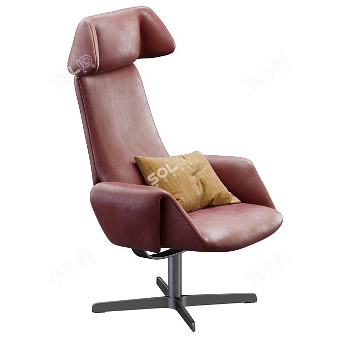 DeSede DS_343 Premium Lounge Chair 3D model image 7