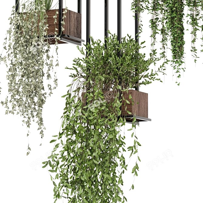  Metal Box Hanging Plant Duo 3D model image 4