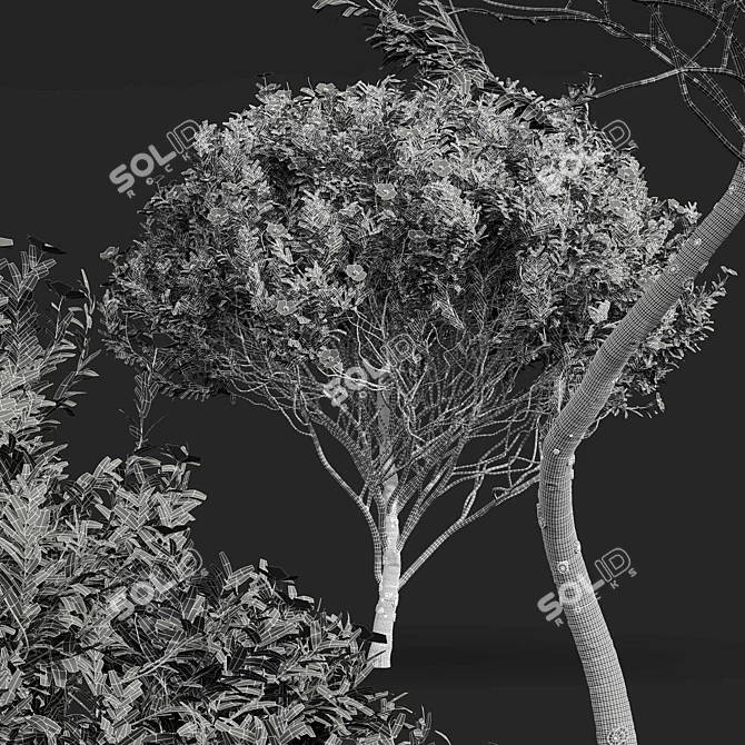 Zistrose & Coronilla 3D Flower Models 3D model image 7