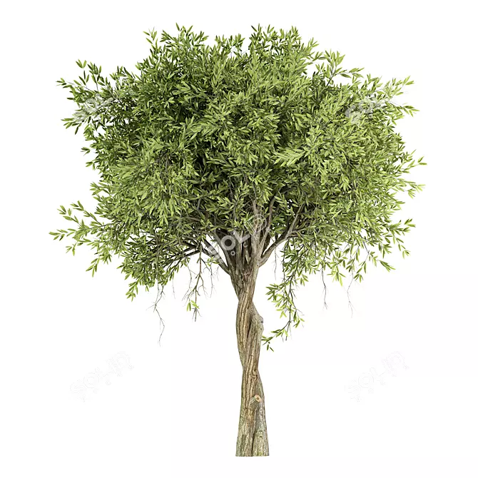 Centimeter Tree No.21 Figurine 2013 3D model image 1