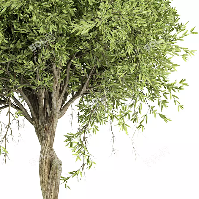 Centimeter Tree No.21 Figurine 2013 3D model image 2