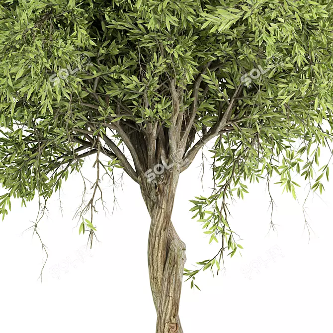 Centimeter Tree No.21 Figurine 2013 3D model image 3