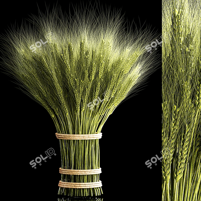 Eco Wheat Spikelet Decor 3D model image 1