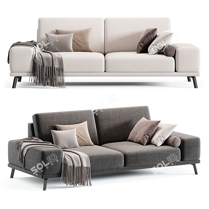 Elegant Modern Ron Sofa Design 3D model image 2